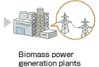 Biomass power generation plants