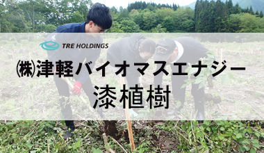 青森県平川市にて「第２回 漆の植樹祭」が行われました！