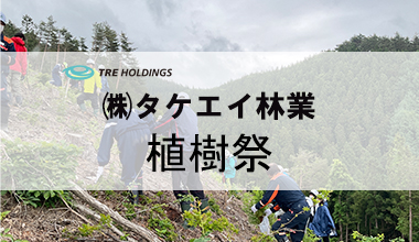 社有林第一号に植樹をしました！