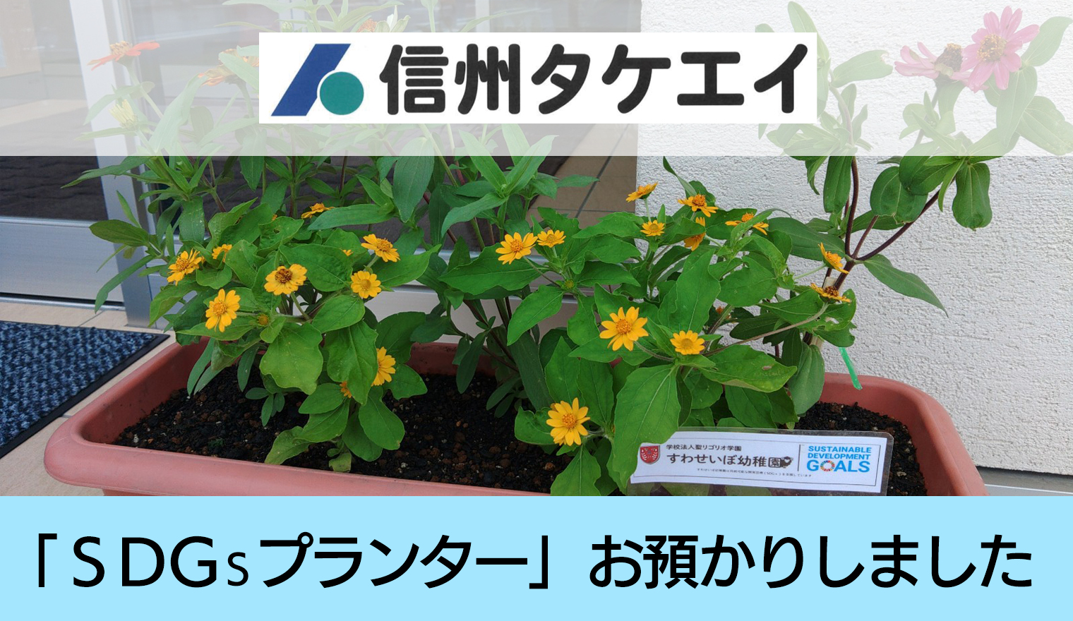 (株)信州タケエイはSDGsの取組みとしてプランターをお預かりしました！